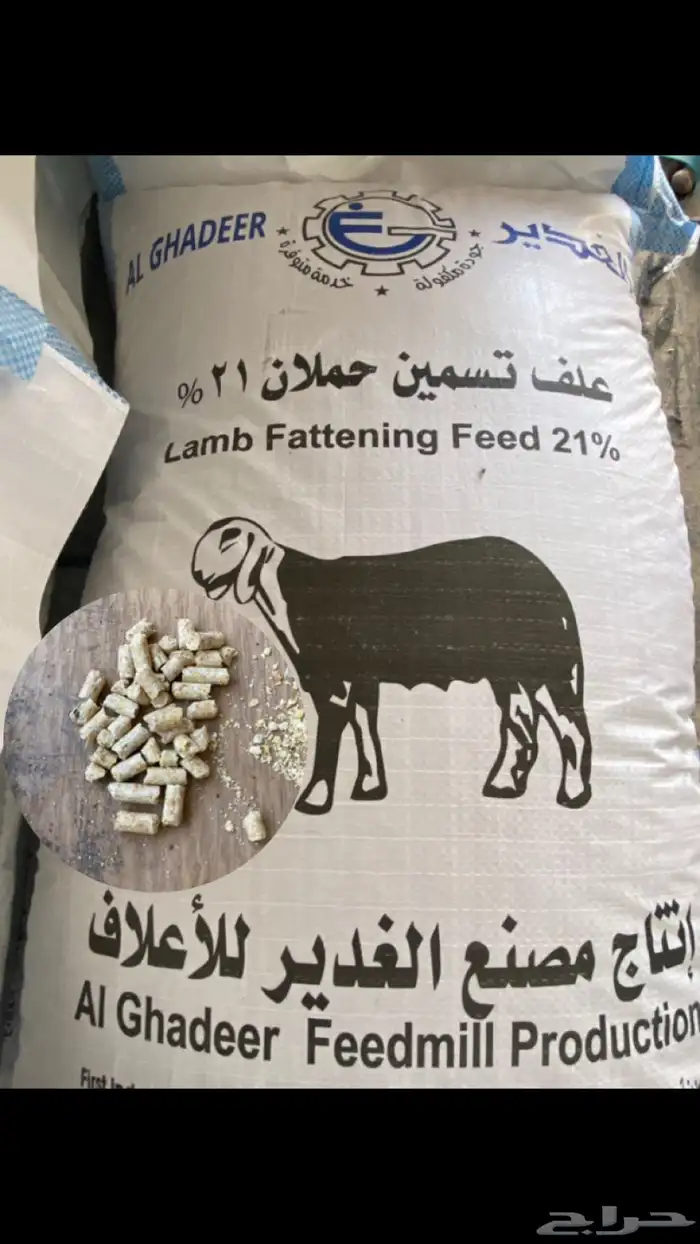 أعلاف الغدير والشعير والأسوار 10