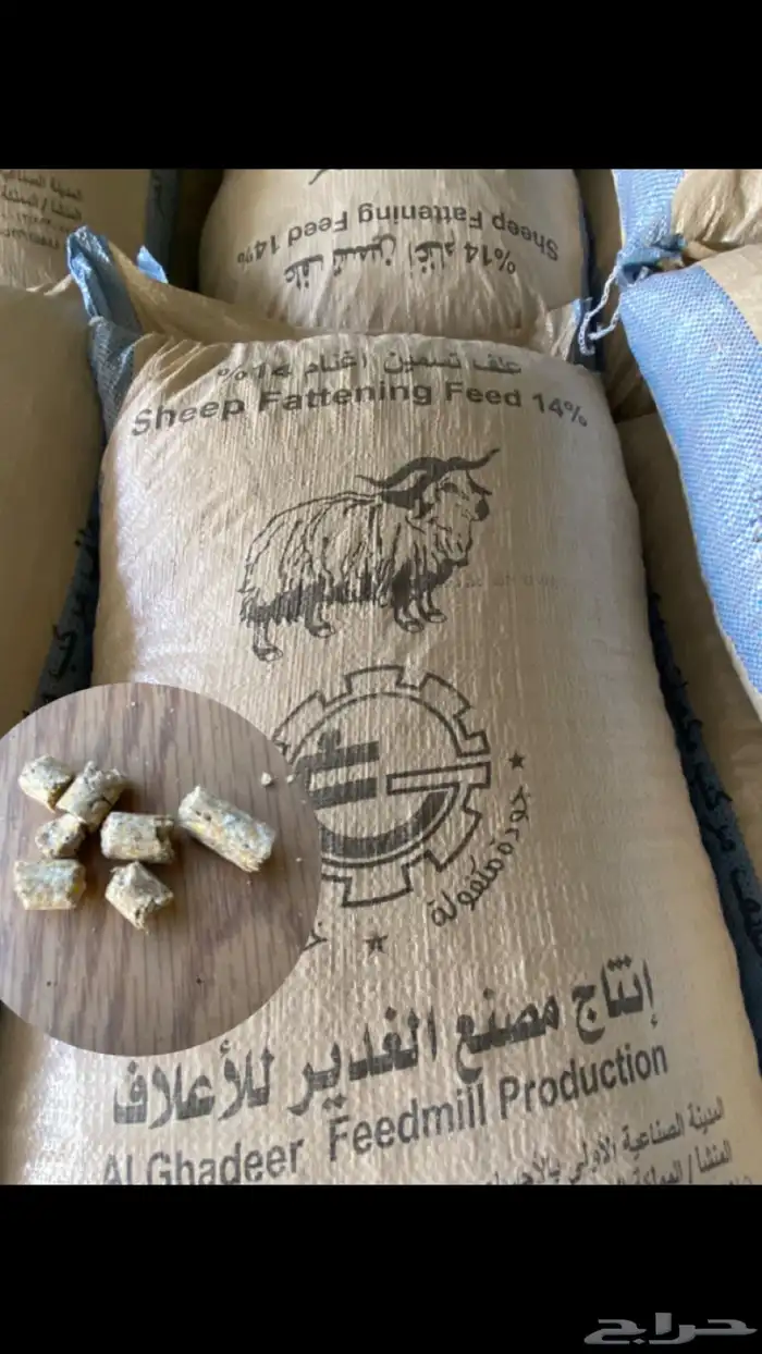أعلاف الغدير والشعير والأسوار 12