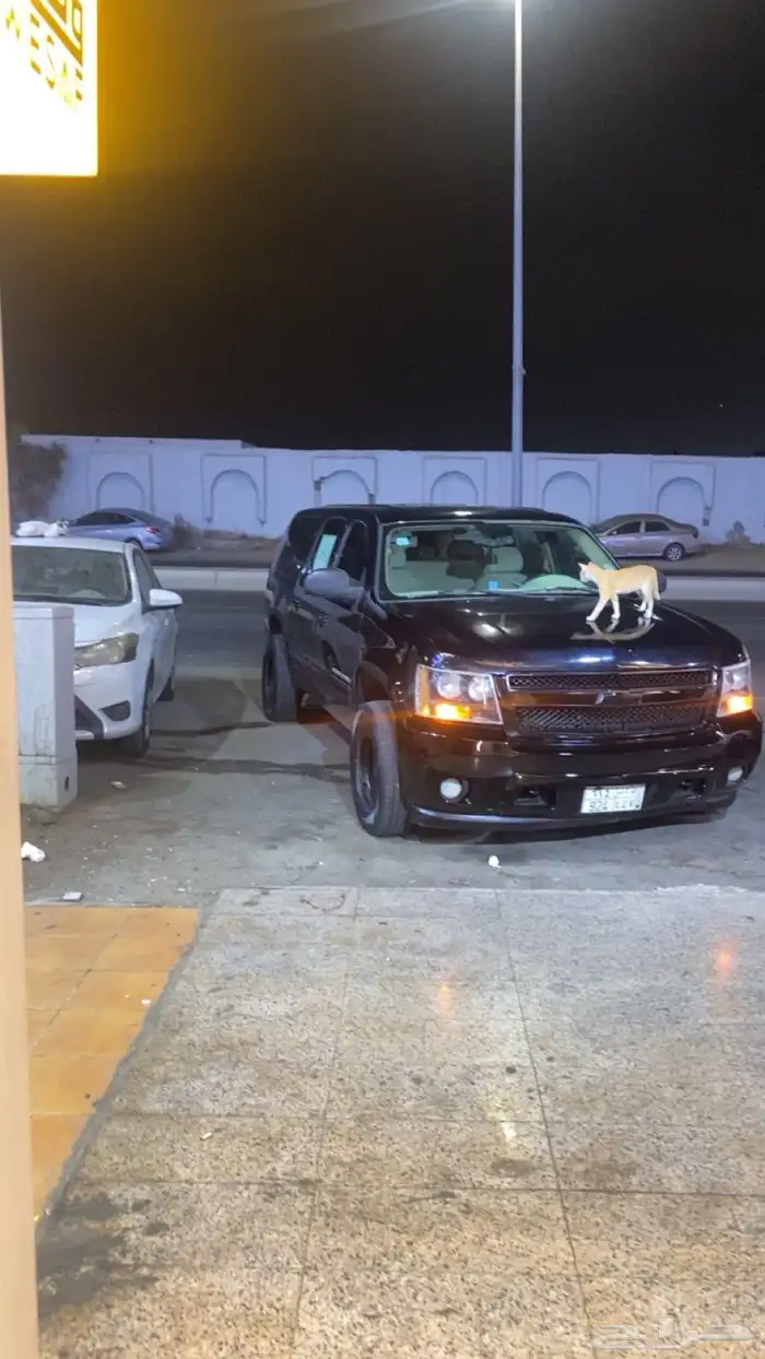 تاهو للبيع 2