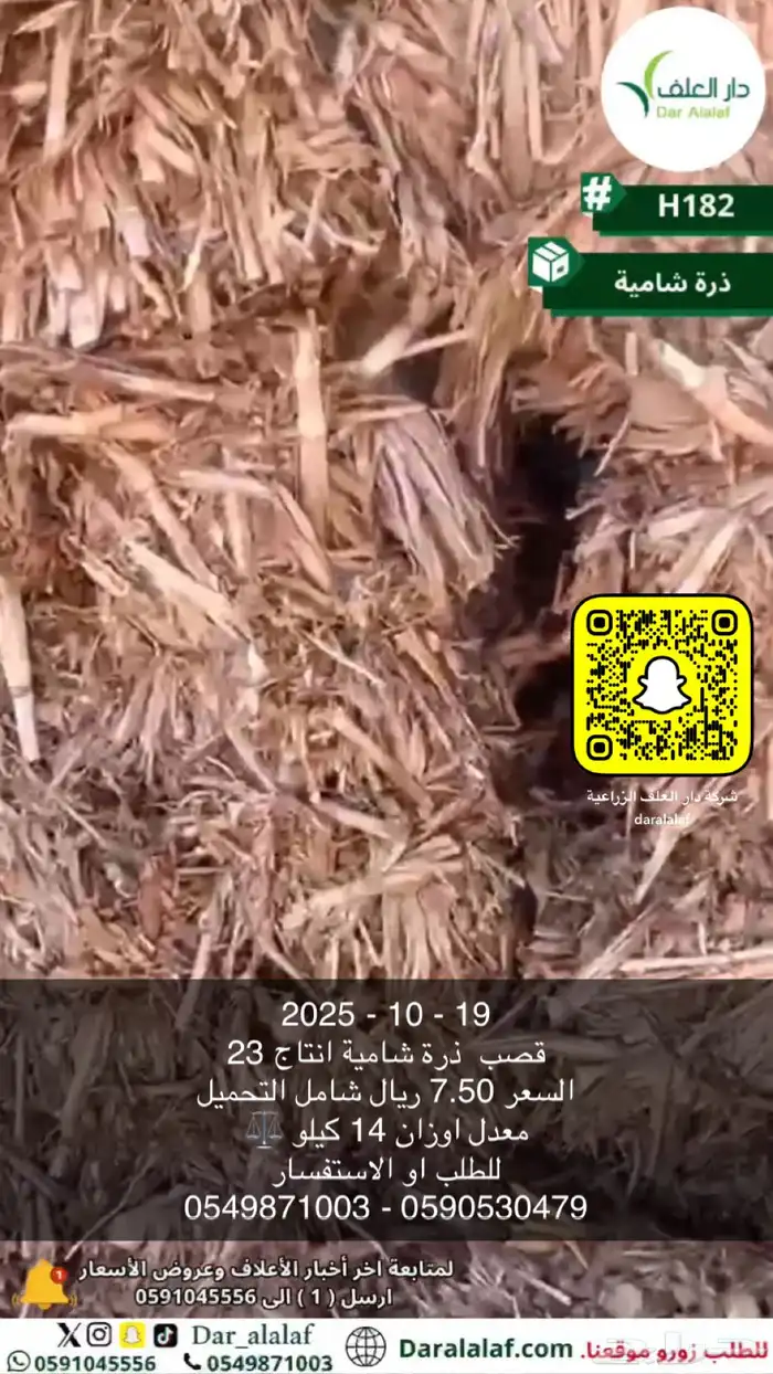 ذره شاميه 23 0