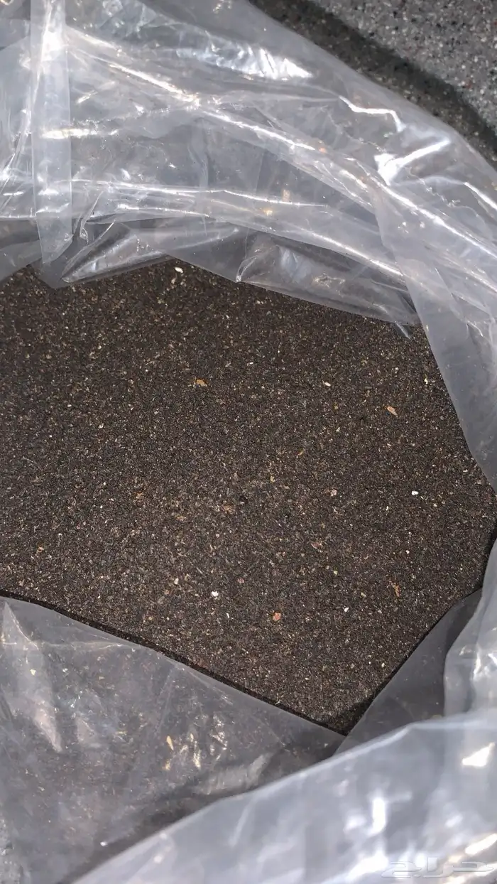 عسيب سرف للنحل 1