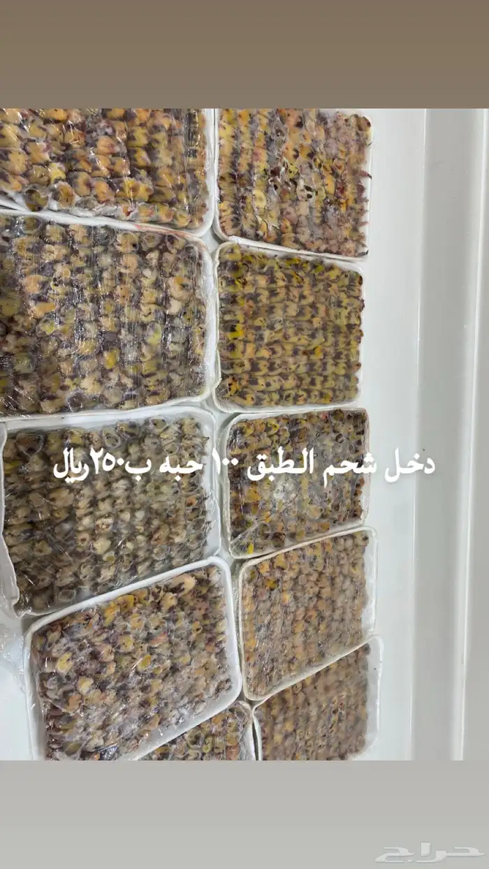دخال شحم 1