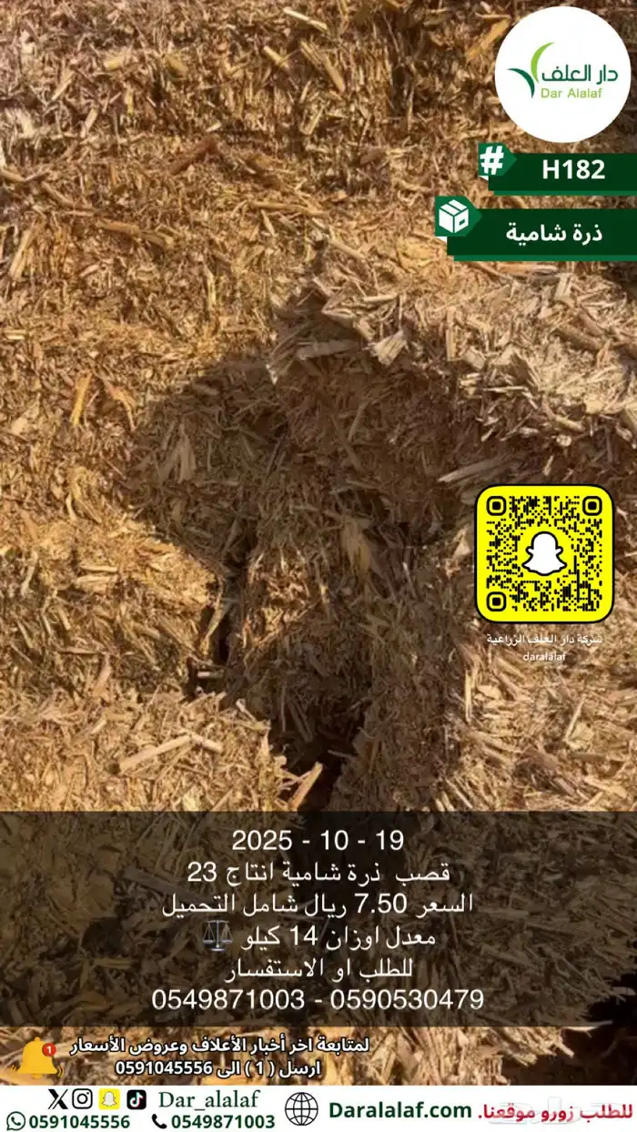 ذره شاميه 23 3