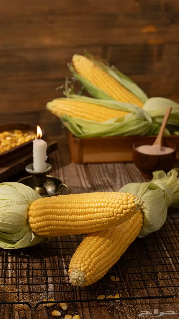 مصورة منتجات جدة فوتو وفيديو وUgc 14