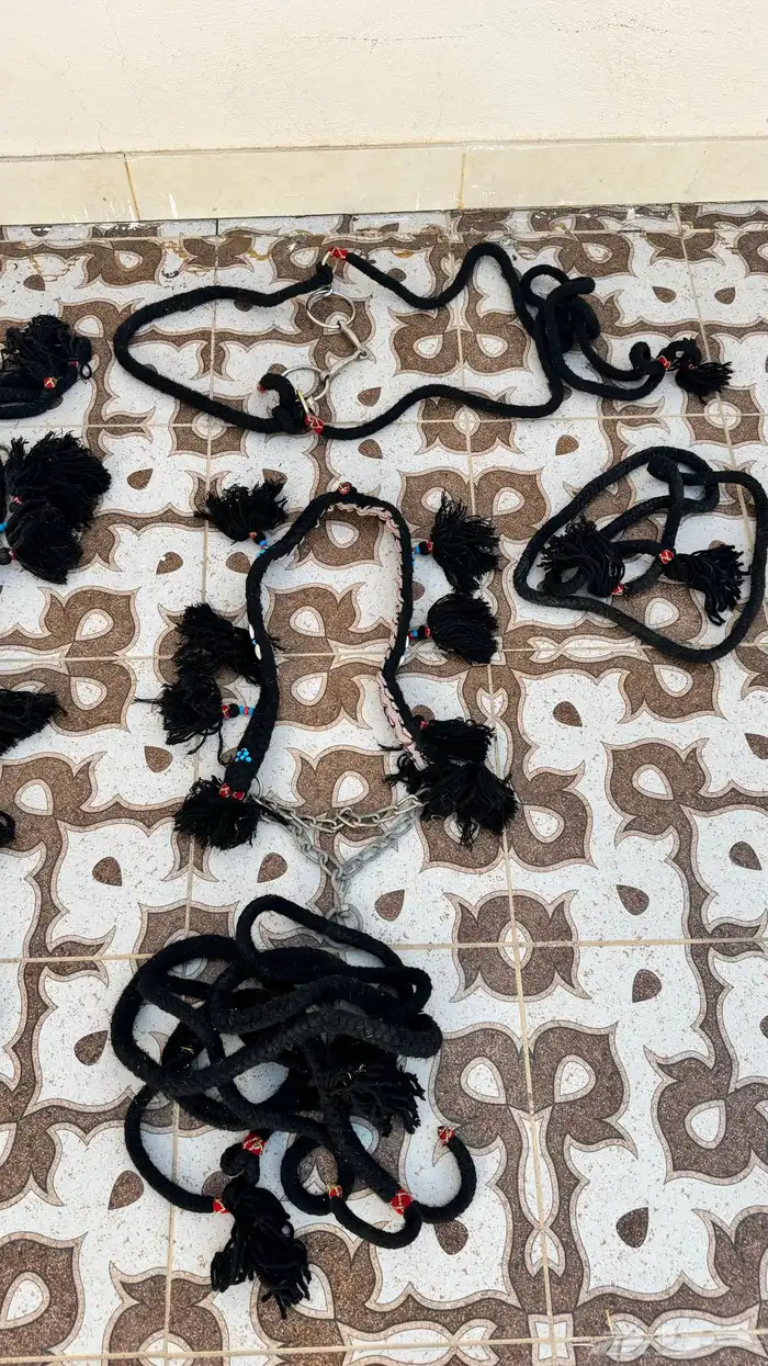 زينه خيل مع لجام وا رشمه 1