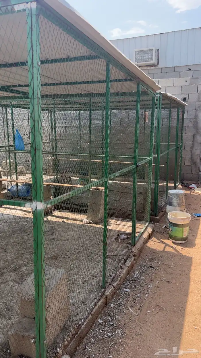 شبوك حمام للبيع 6