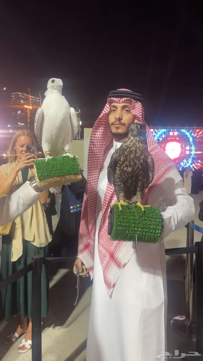 تأجير صقر طير جير 9