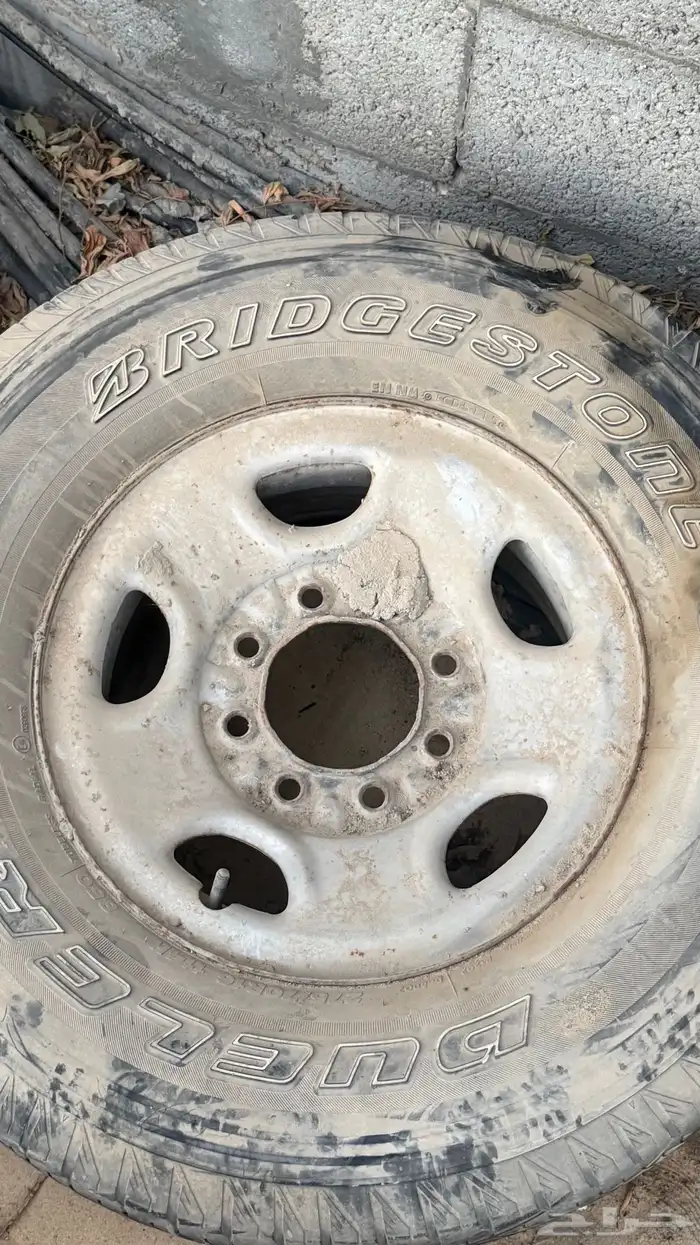 رنقات ديازل جمس 8 بلوط 0