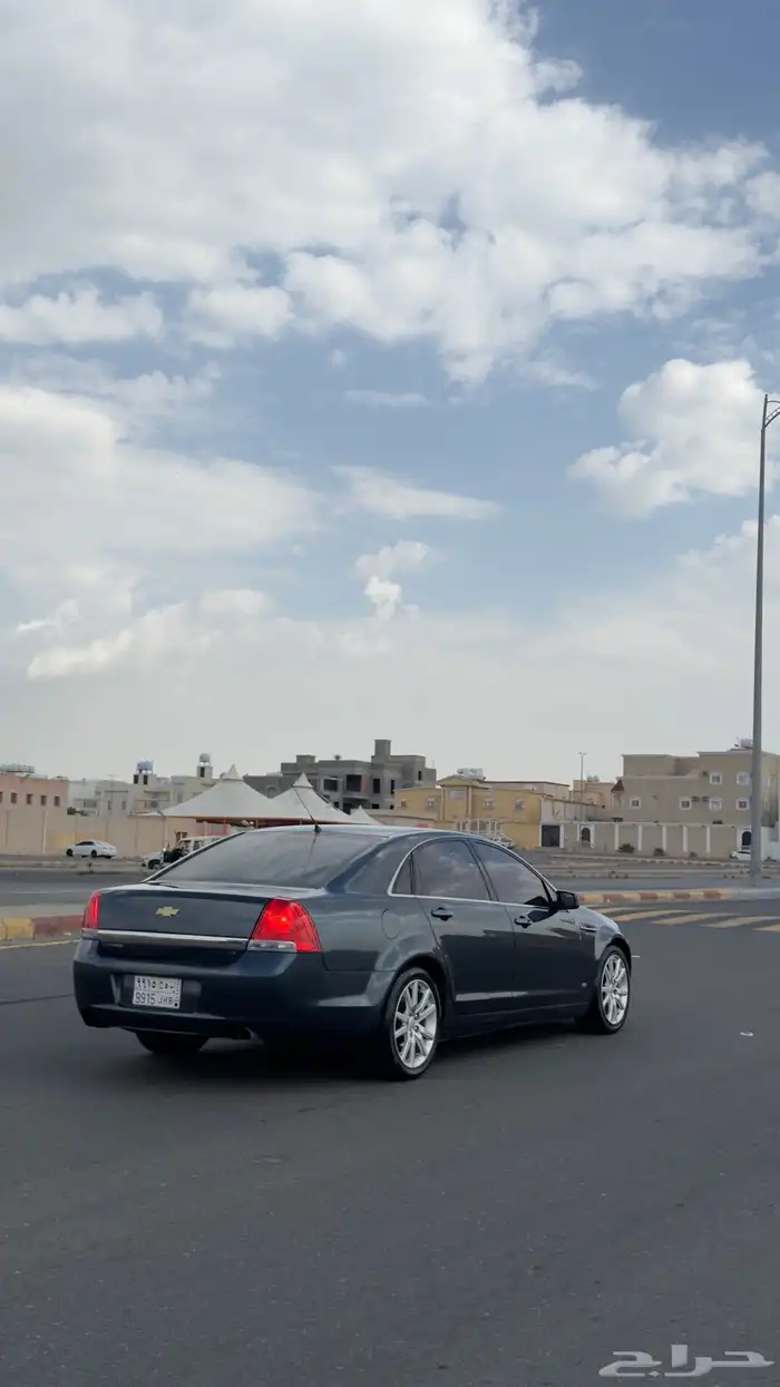 كابرس نظيف تركوازي 26