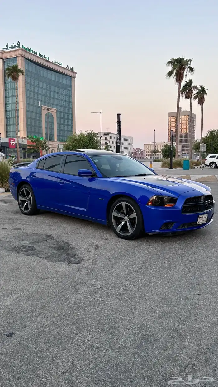 تشارجر DAYTONA 2013 قمه بالنظافه 5