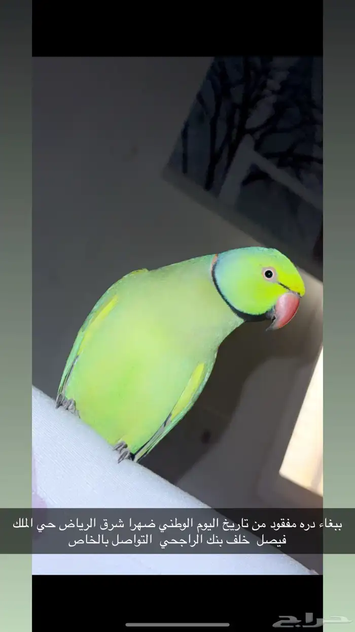 مكافئه ماليه 0