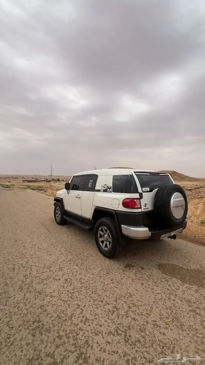 أفجي 2011 0