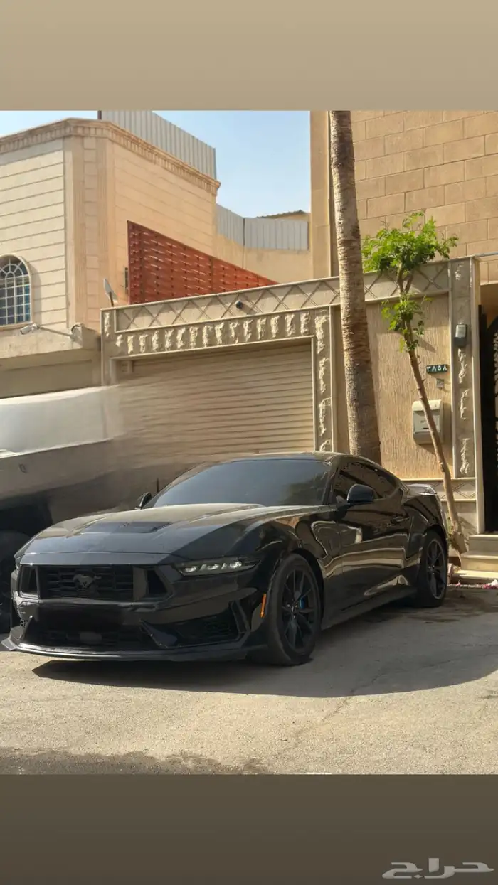 موستنق دارك هورس 2024 0