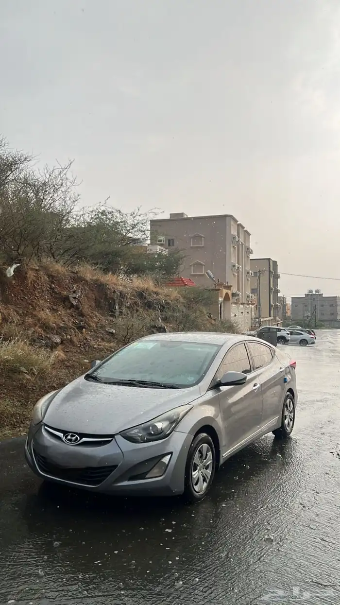 المجاردة 4