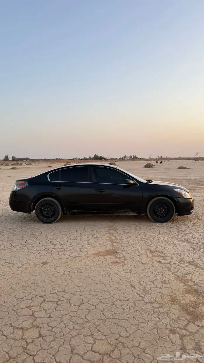 التيماء 2010 1