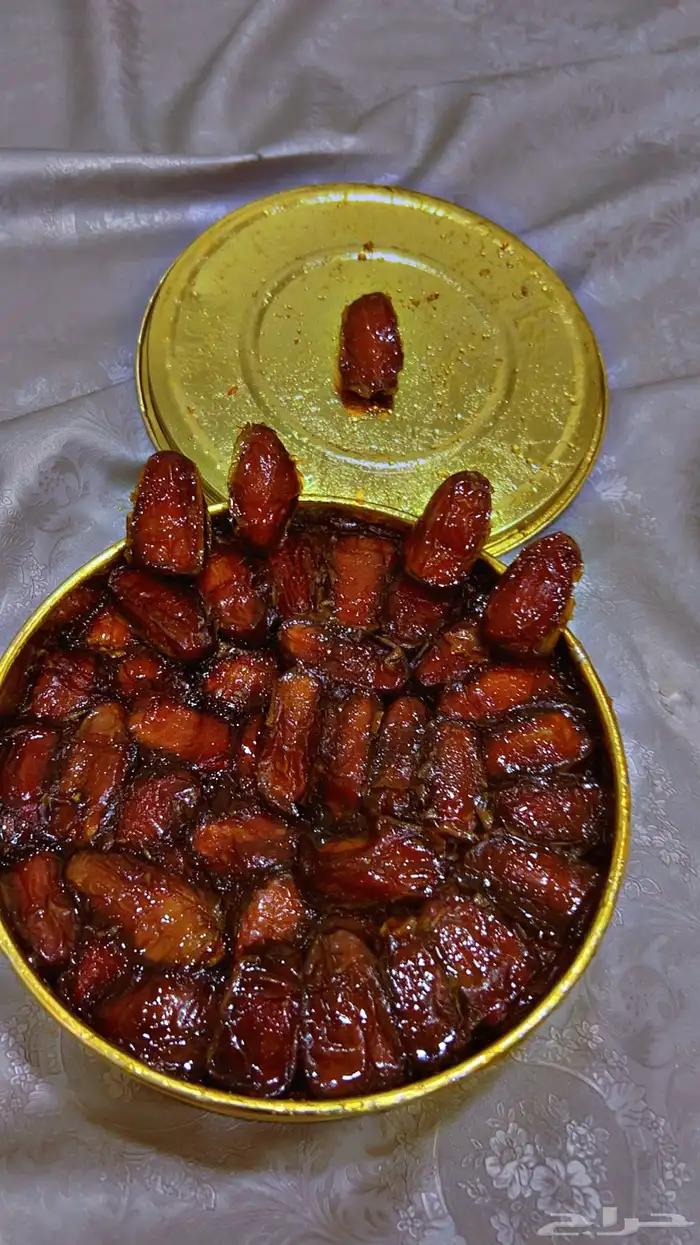 صفري بيشه 0