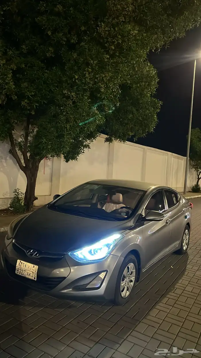 المجاردة 22