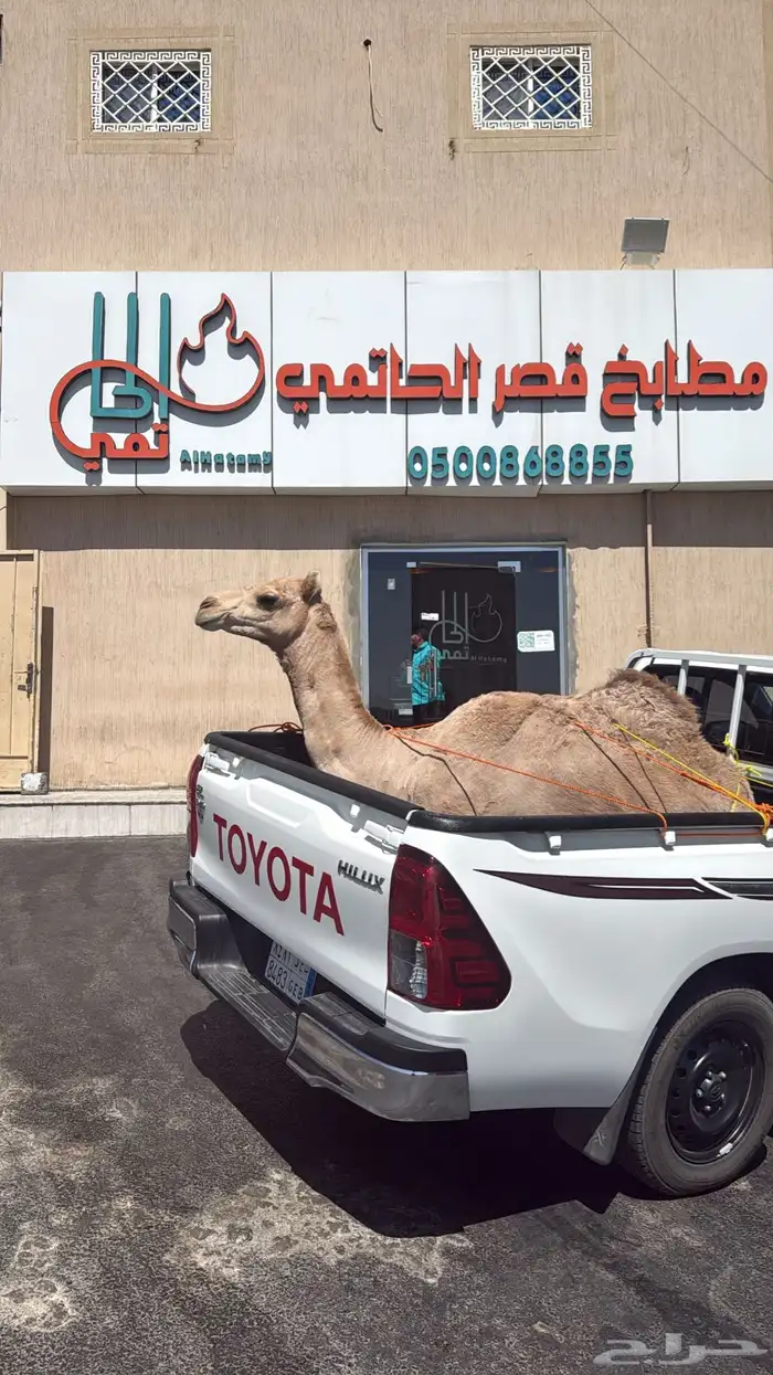 هايلوكس توصيل مشاوير داخل الجنوب وخارجها 2