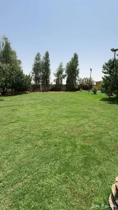 استراحة للاجار 0