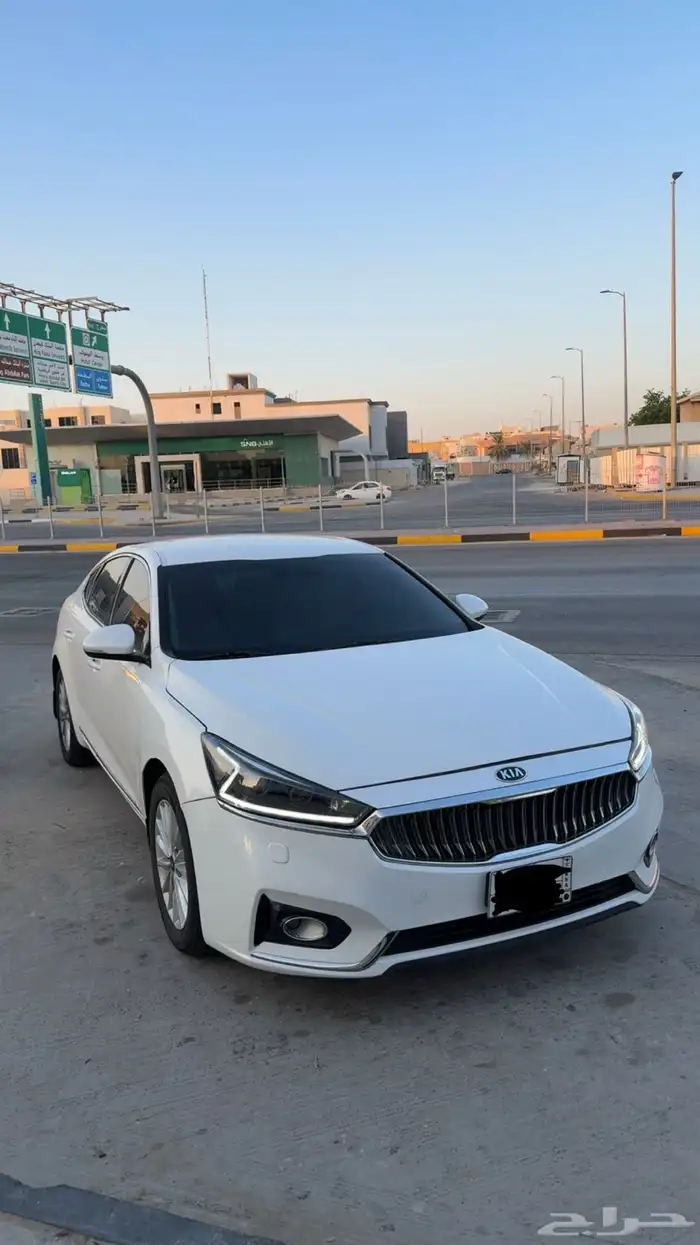 كادينزا 2017 4