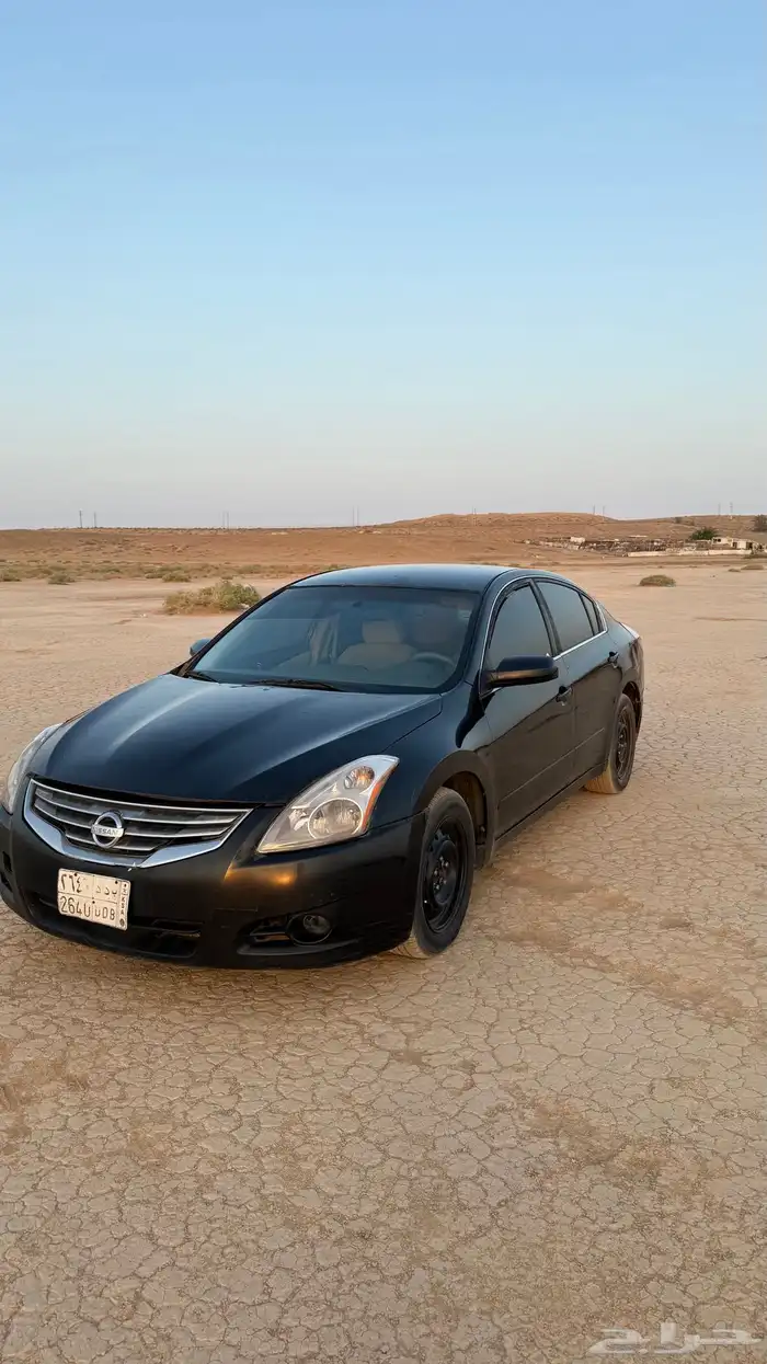التيماء 2010 2