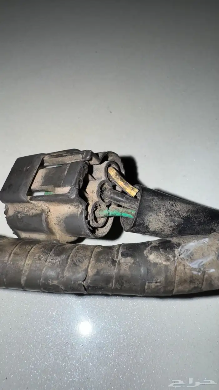 ظفيرة كويلات اصلي 1