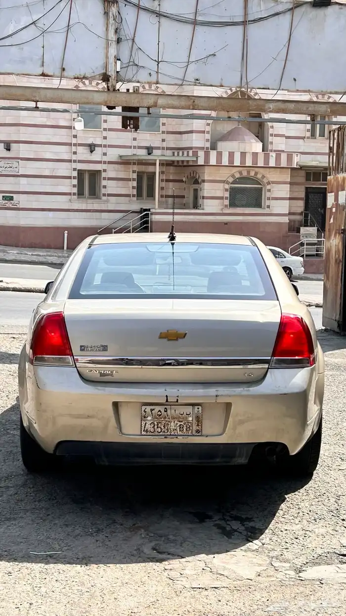 كابرس 2010 15