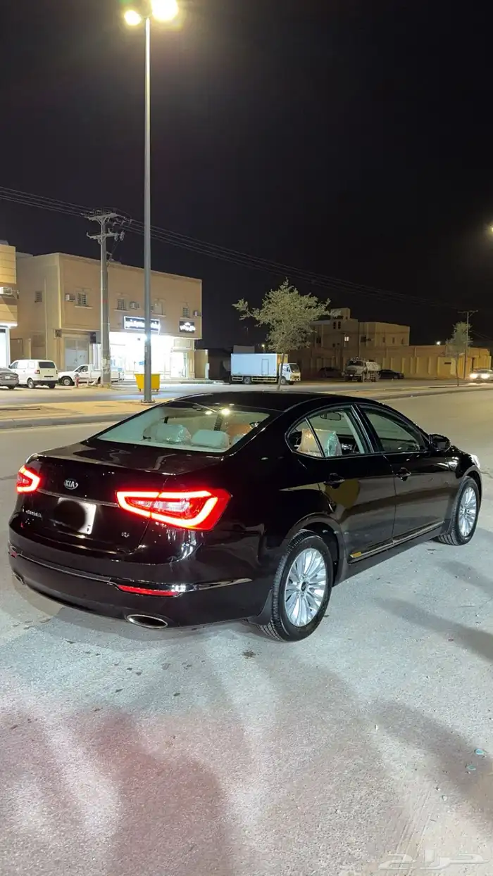 كادينزا 2014 4