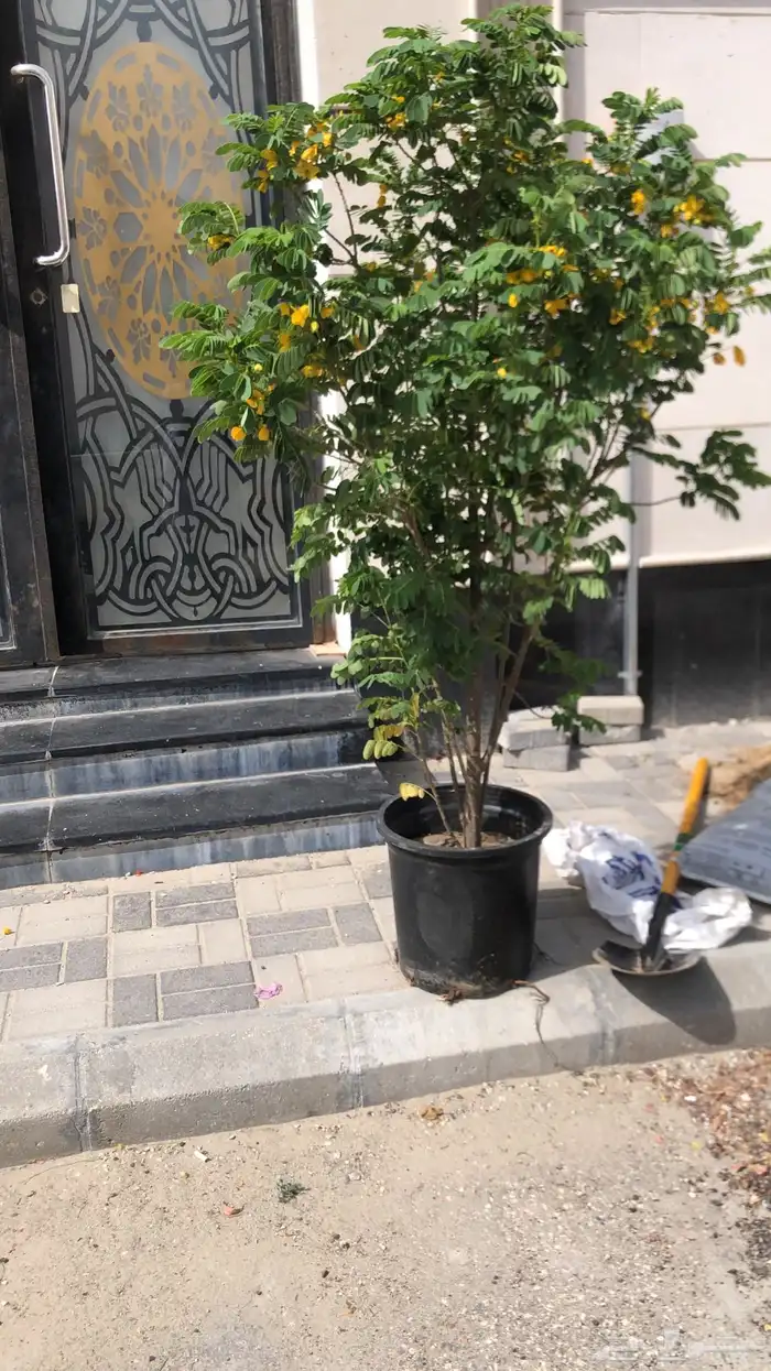 تنسيق الحدائق المنزلية 32