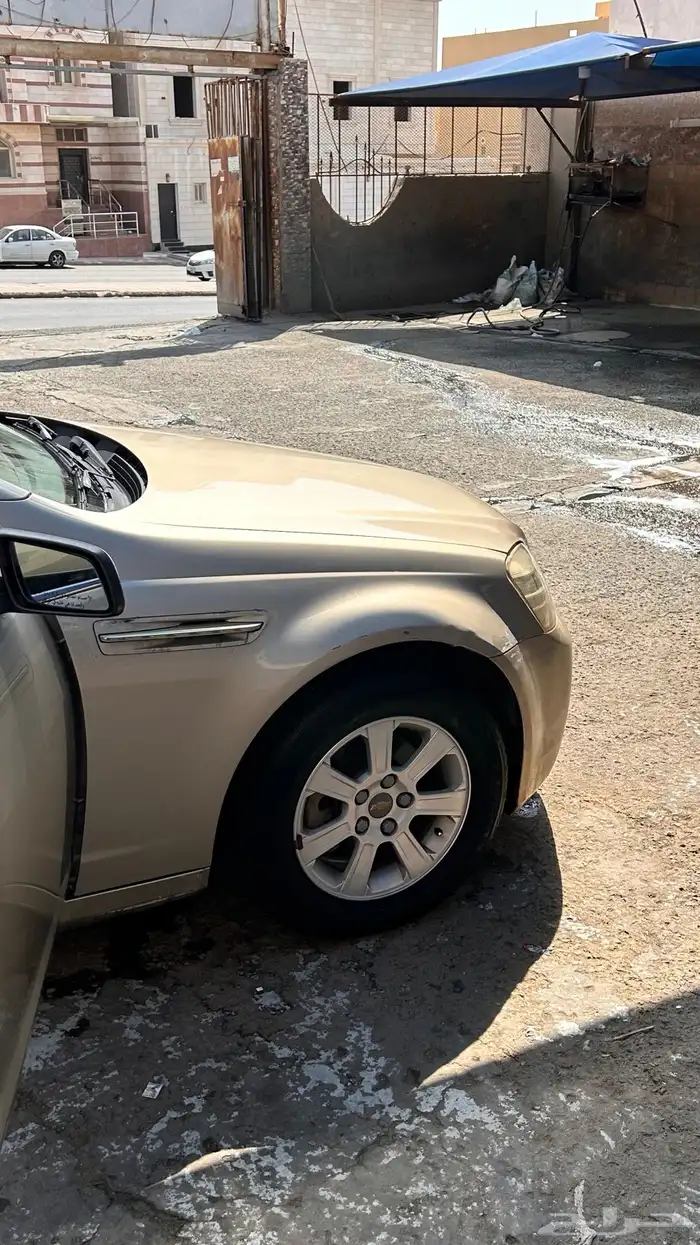 كابرس 2010 7