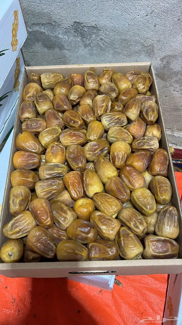 رطب سكري كميات كبيره 1