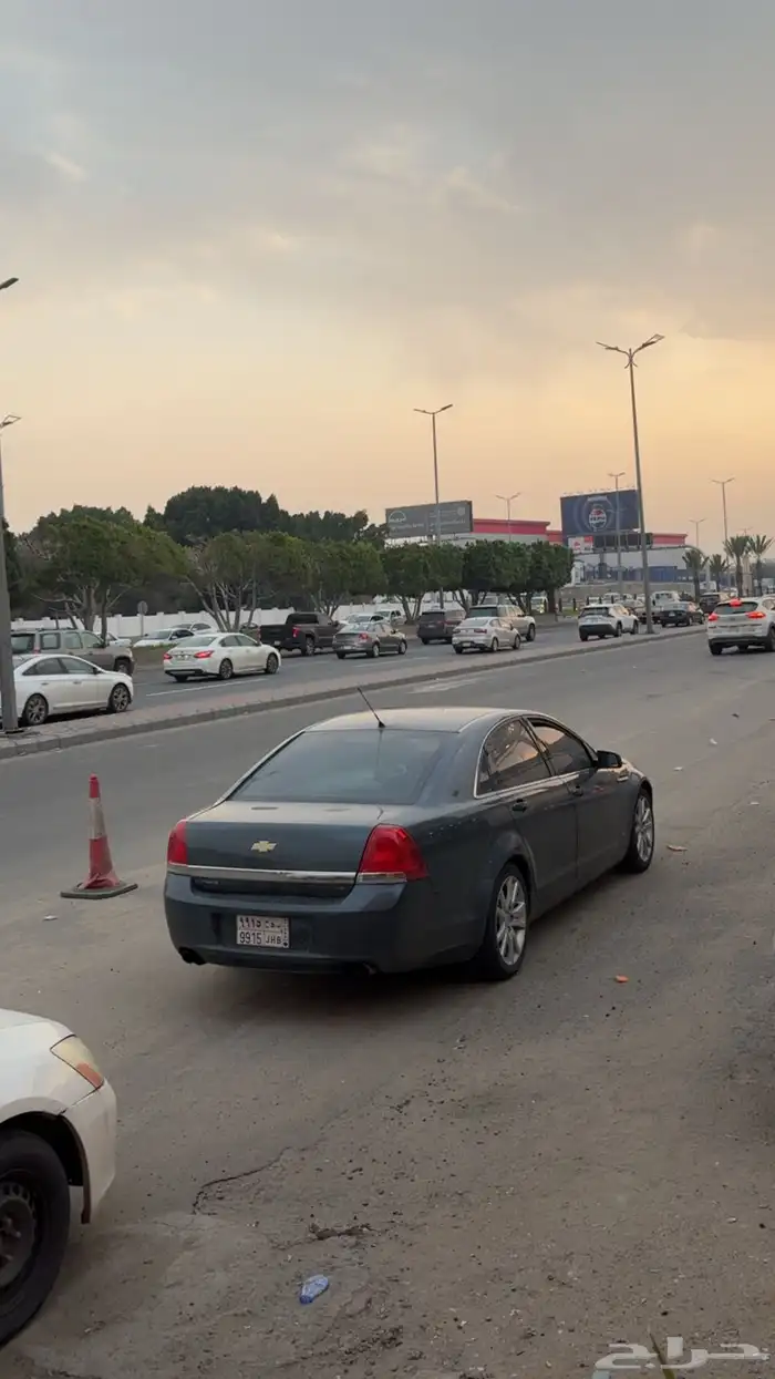 كابرس نظيف تركوازي 29