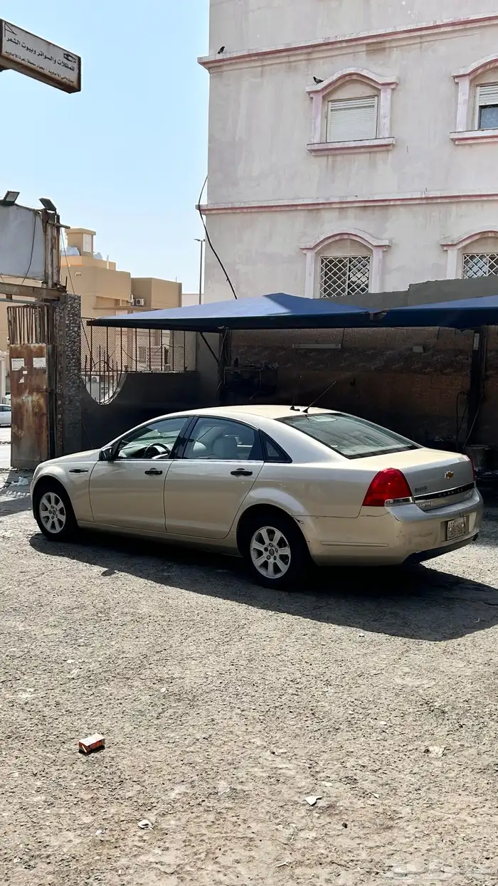 كابرس 2010 4