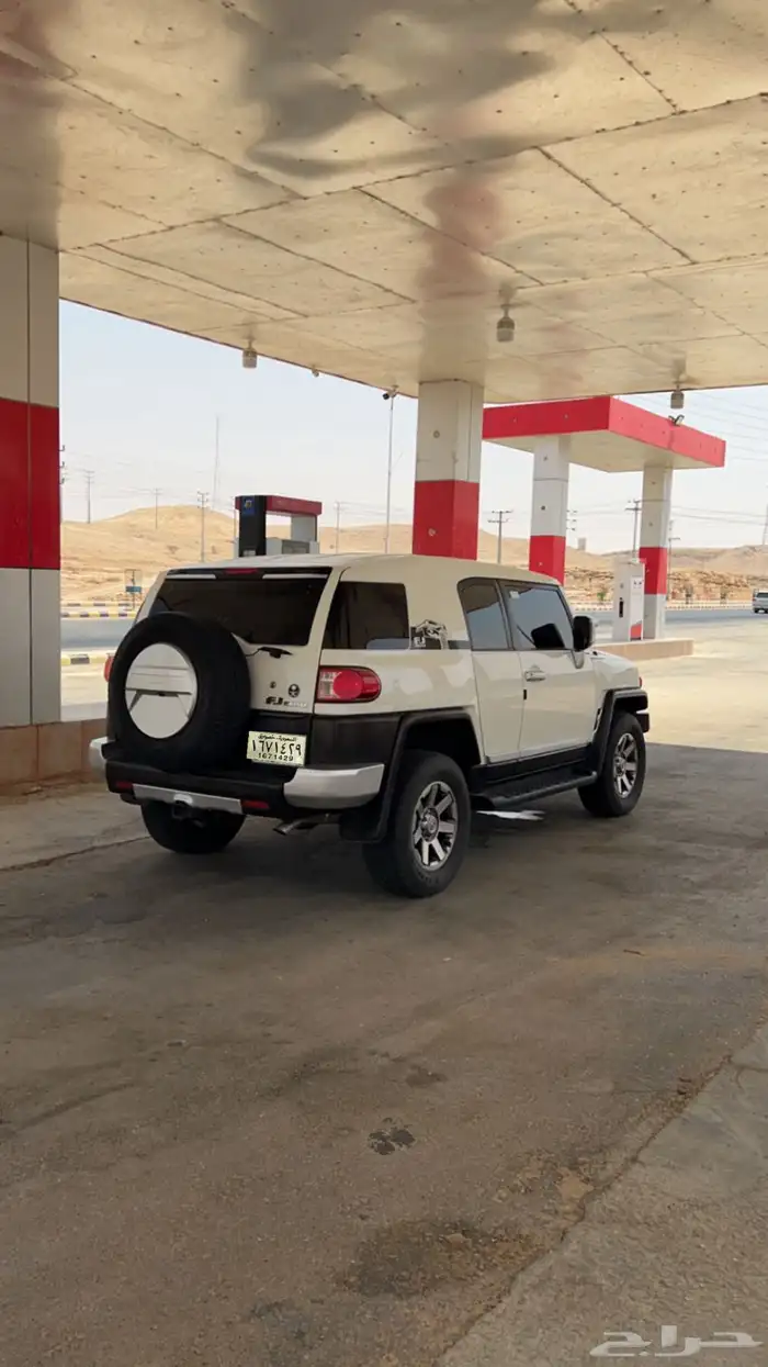 أفجي 2011 3