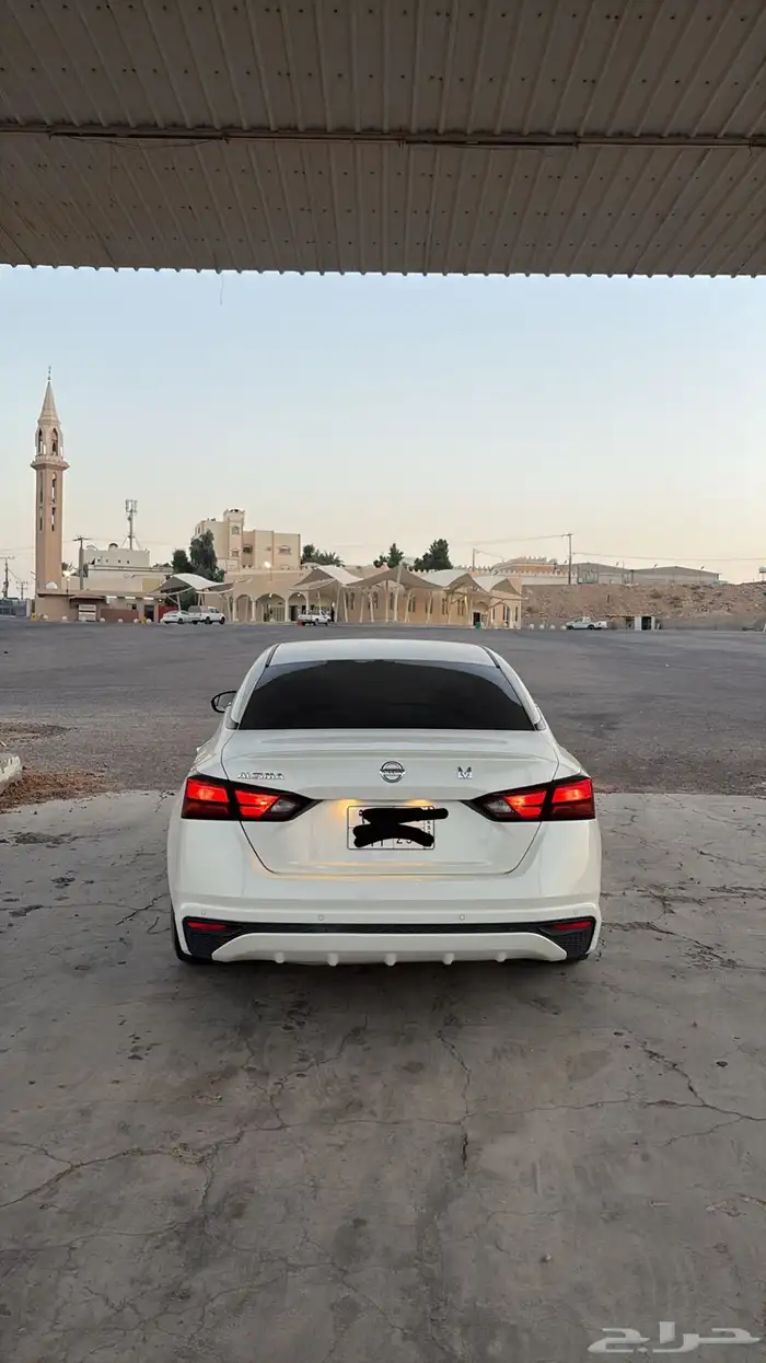 التيما 2019 0