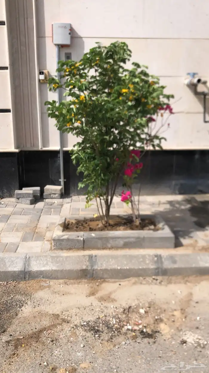 تنسيق الحدائق المنزلية 30