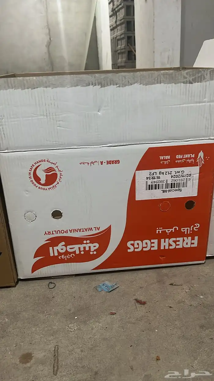 كراتين بيض جديدة 3