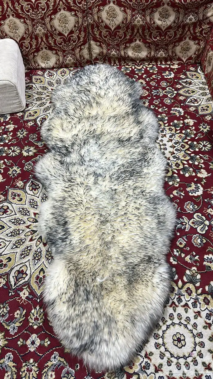 جاعد جلد غنم 0