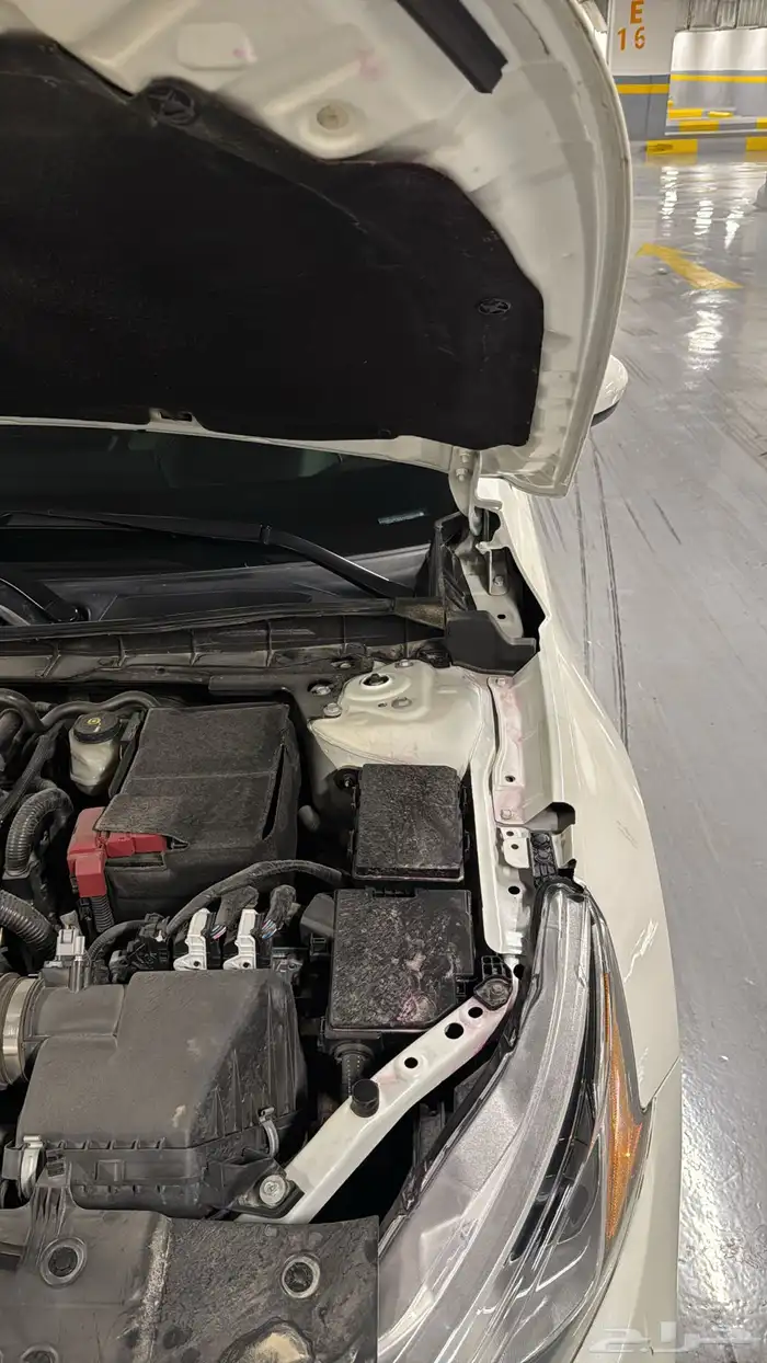 التيما فئة s 14