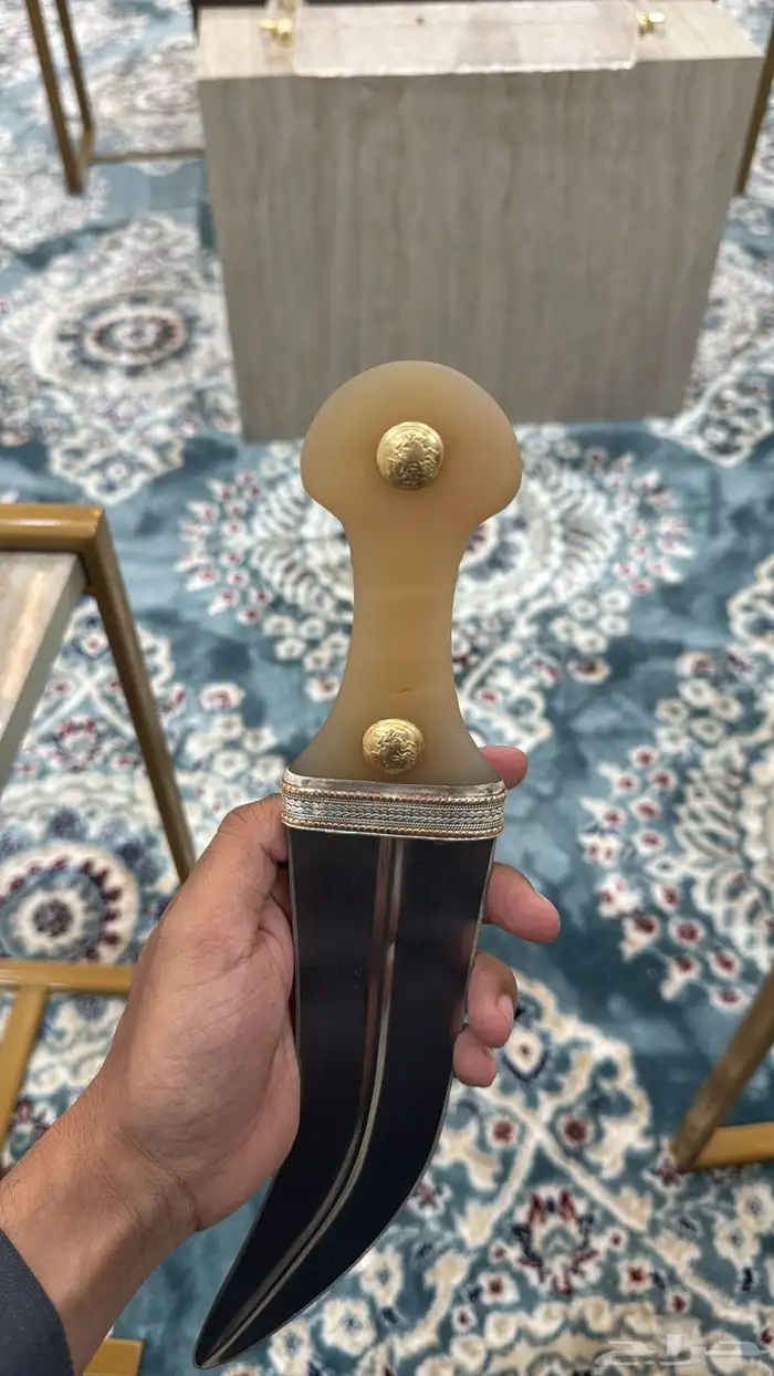 جنبيه قرن 0
