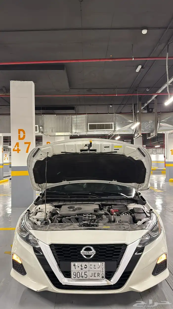التيما فئة s 15