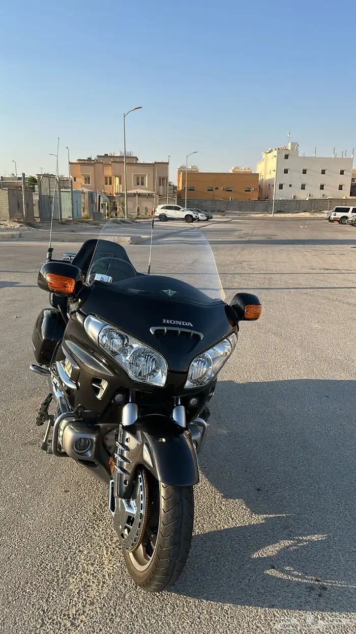 قولد وينق 2010 3