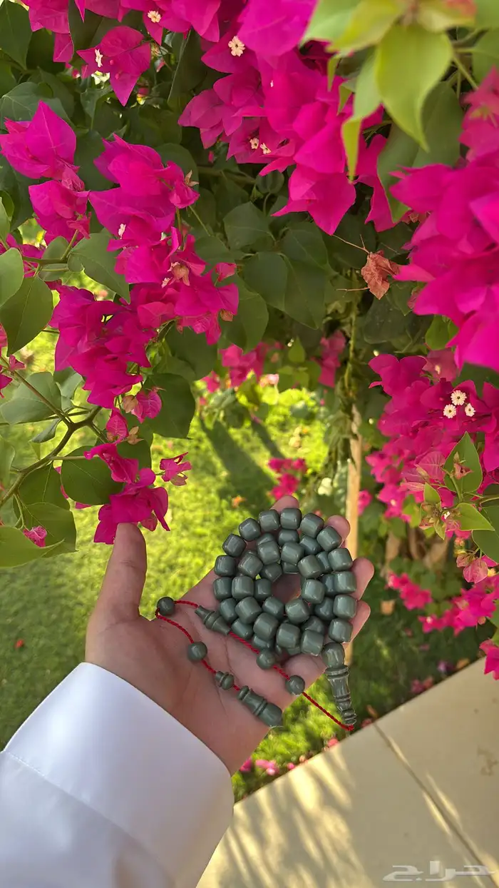 سبحه فاتوران 0