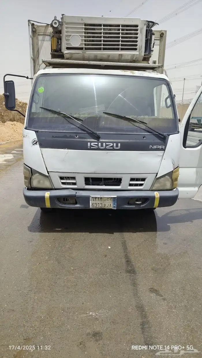 دينا ايسوزو 2