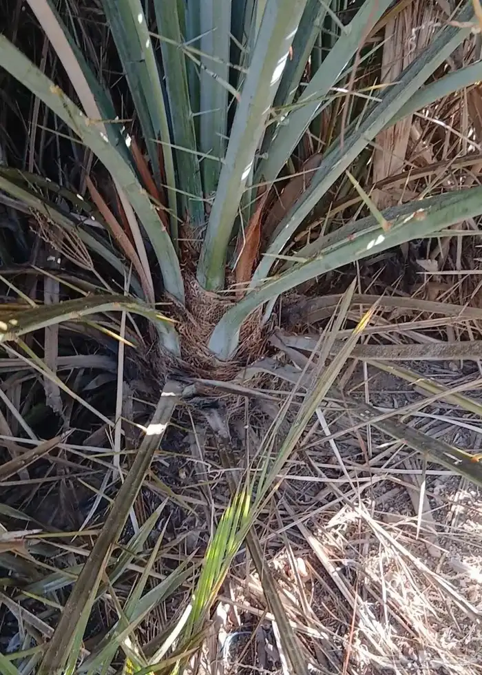 لدينا فسايل مصيفه فسايل مطلعه تمرها فيه 0