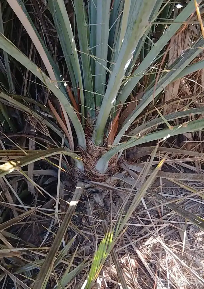 لدينا فسايل مصيفه فسايل مطلعه تمرها فيه 2