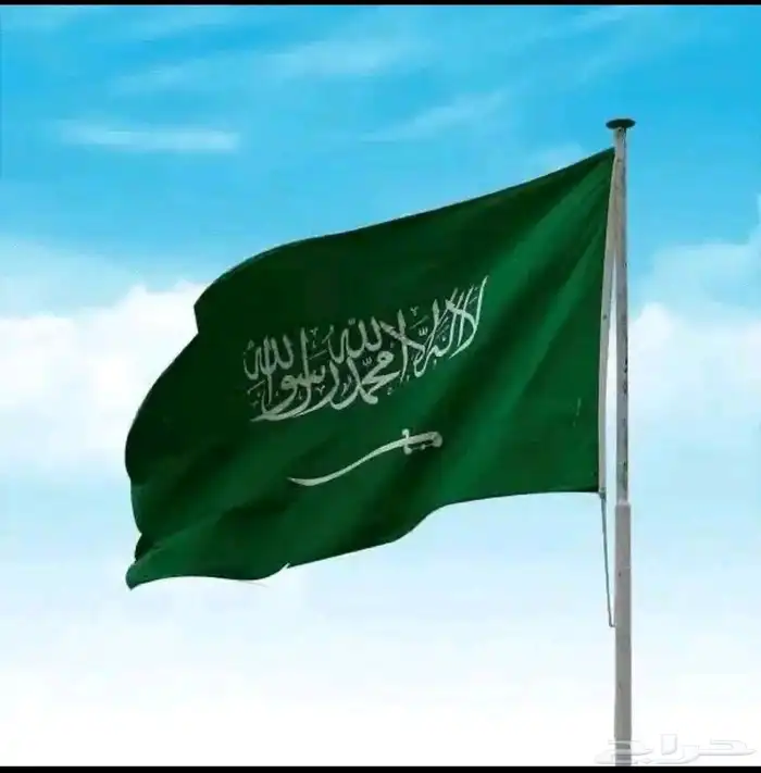 معلم مصري تأسيس ومتابعه للمرحلة الابتدائية 0