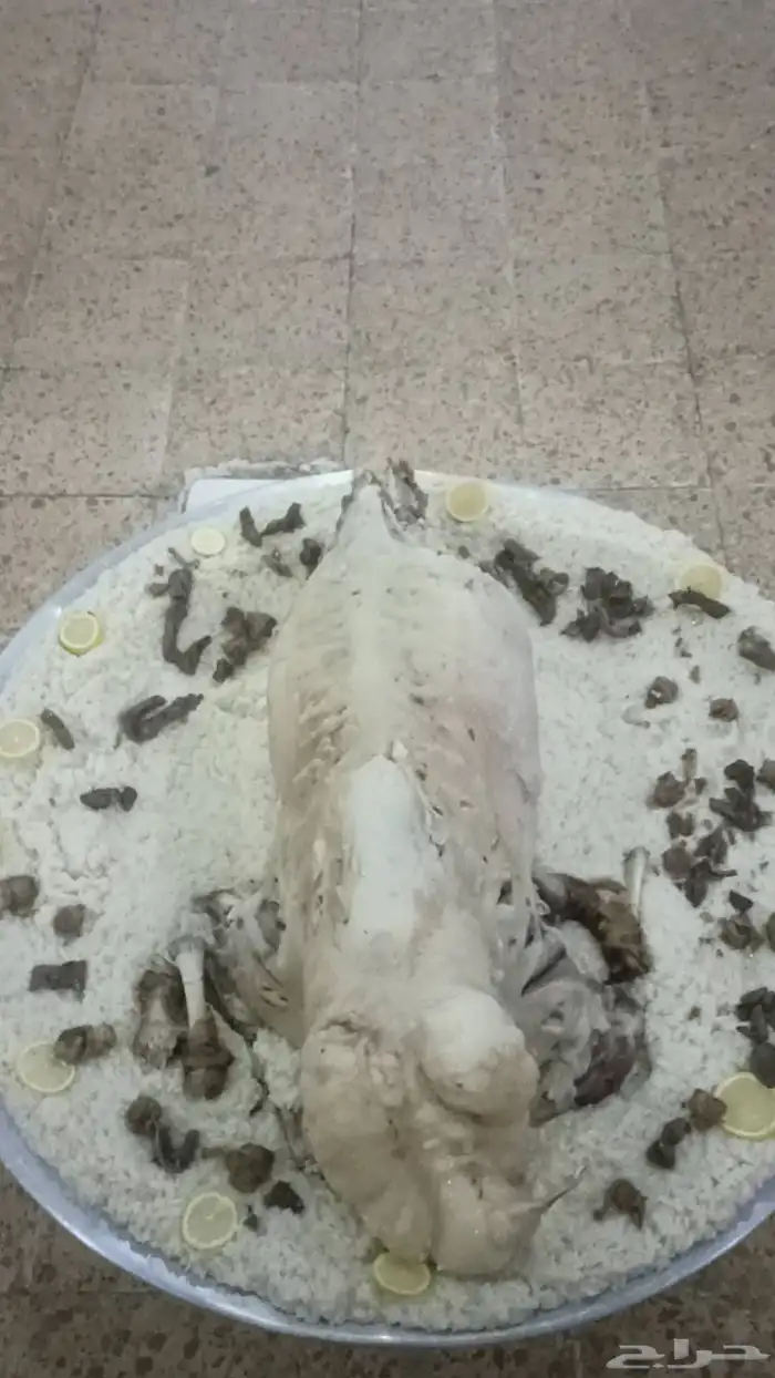 مطابخ الضيافه لانواع الطبخ 2