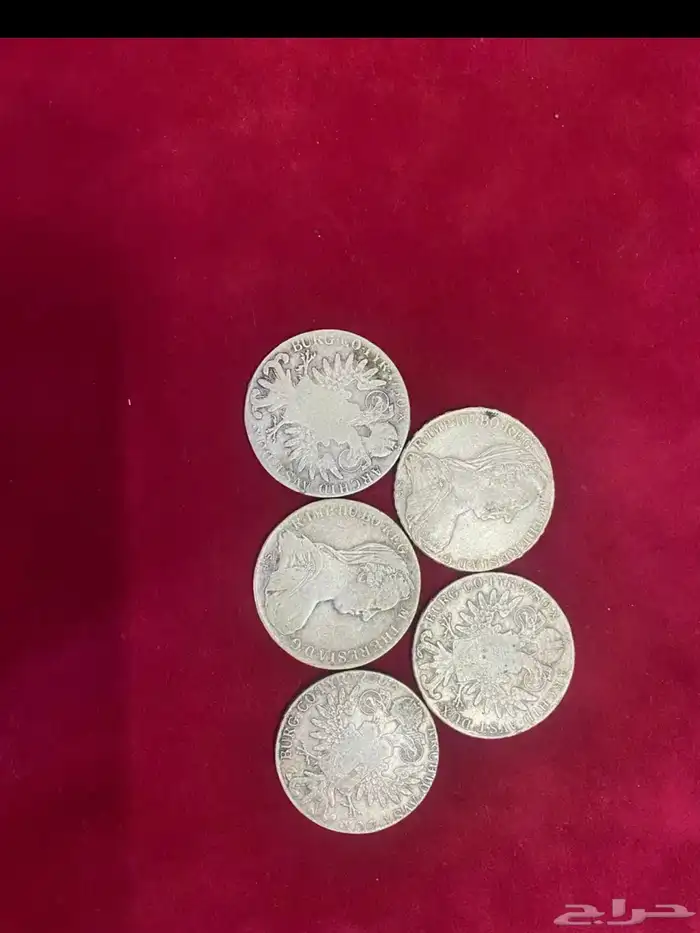 فرانسي فضه خالص 1