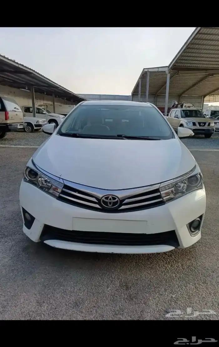كرلا 2015 gli مكينه2000 2